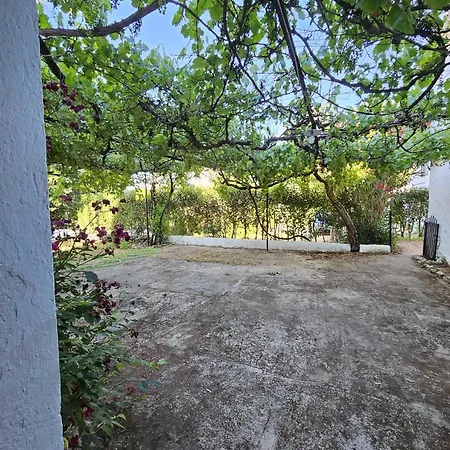Cortijo Del Cura By Travel Cortijos Nuevos