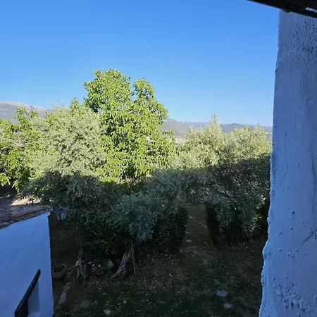 Hotel Cortijo Del Cura By Travel