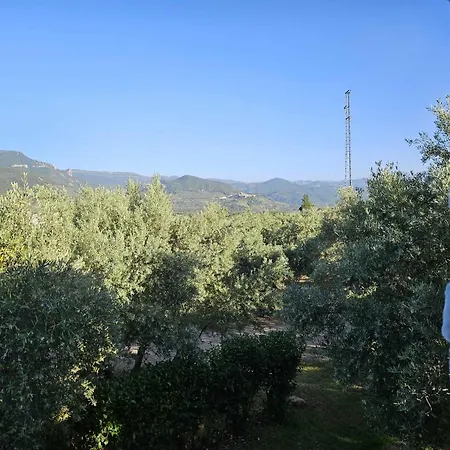 Cortijo Del Cura By Travel Cortijos Nuevos
