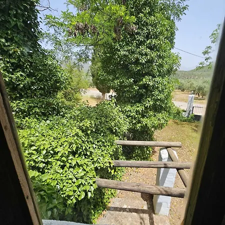 Cortijo Del Cura By Travel * Cortijos Nuevos