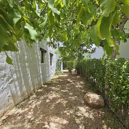 Cortijo Del Cura By Travel * Cortijos Nuevos